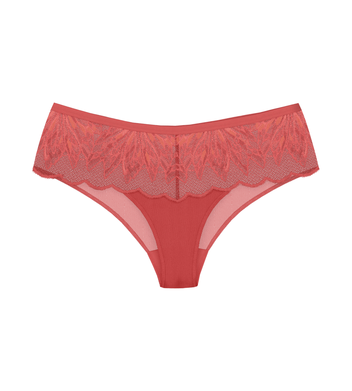 Triumph Crazy Stupid Love Hipster Briefs